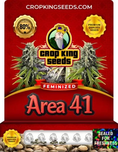 Area 41